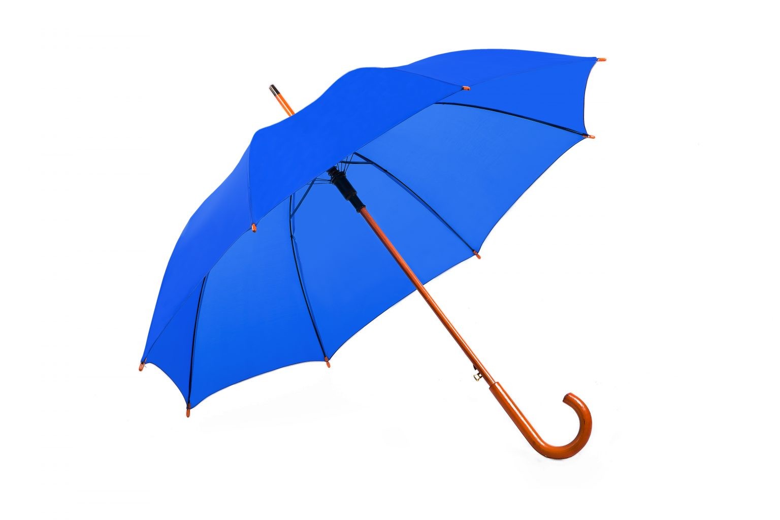 Charlton Hook Handle Umbrella - Image 8