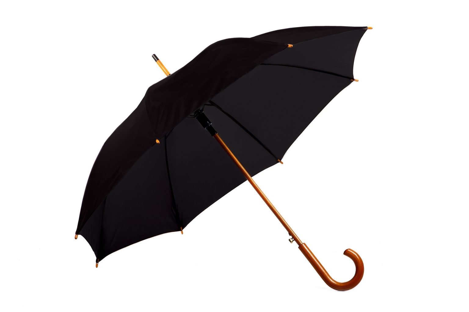 Charlton Hook Handle Umbrella - Image 2