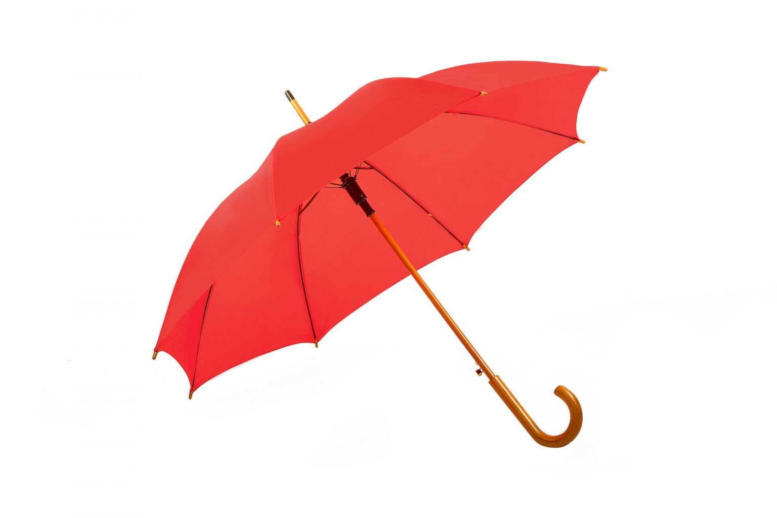 Charlton Hook Handle Umbrella - Image 9