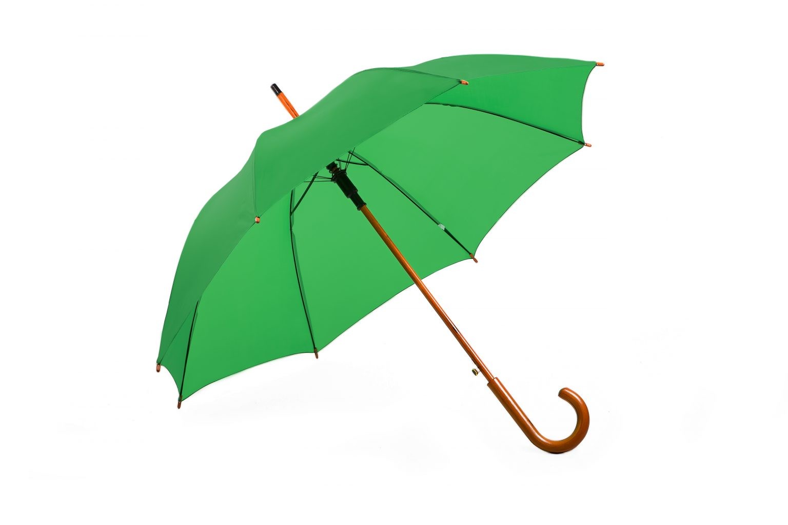 Charlton Hook Handle Umbrella - Image 3