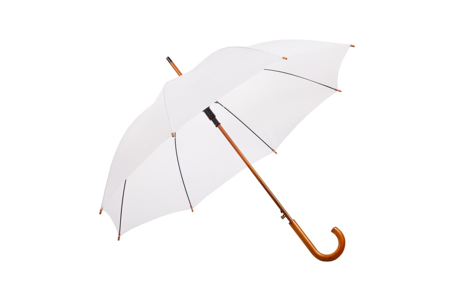 Charlton Hook Handle Umbrella - Image 7