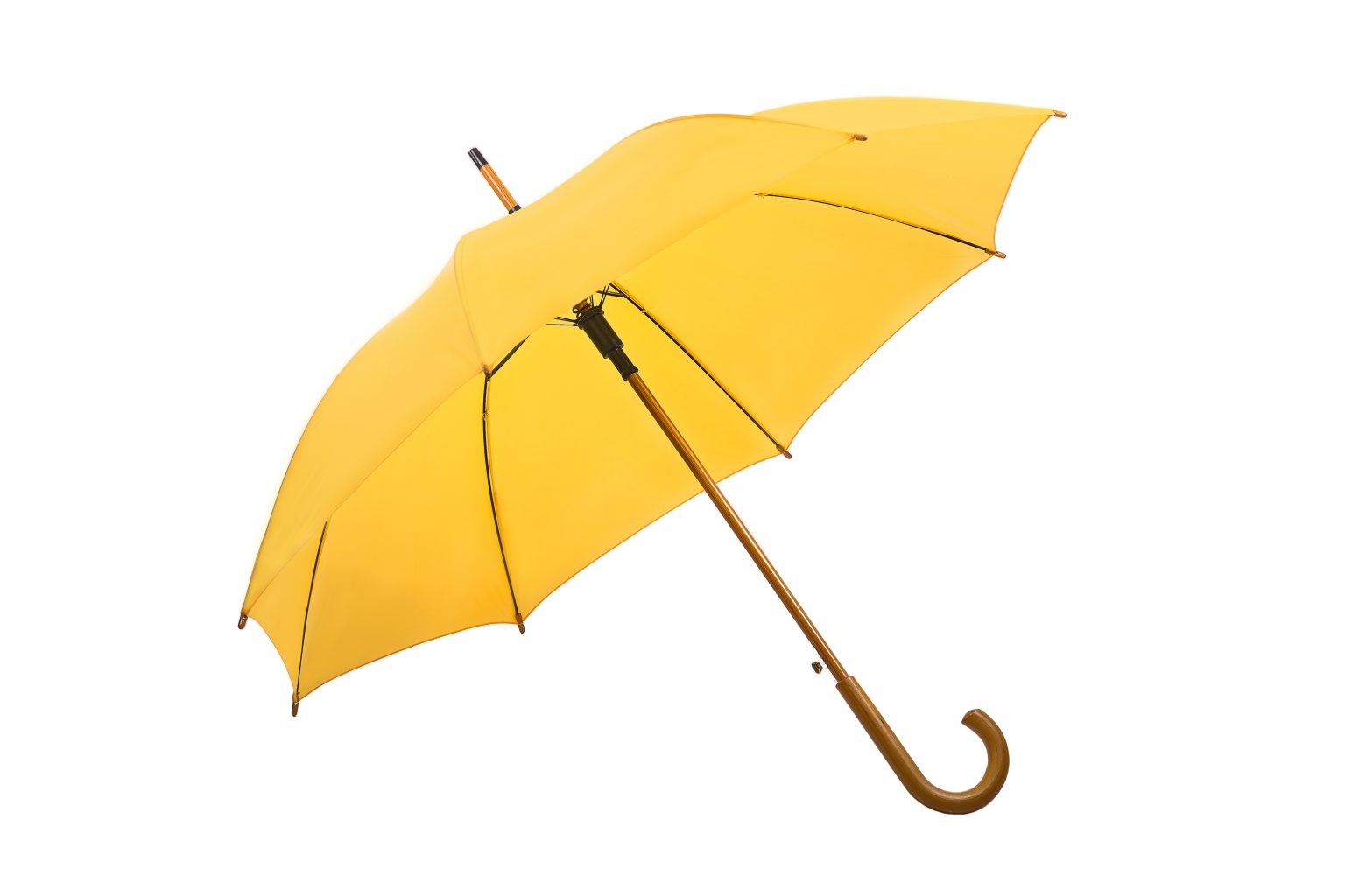 Charlton Hook Handle Umbrella - Image 6