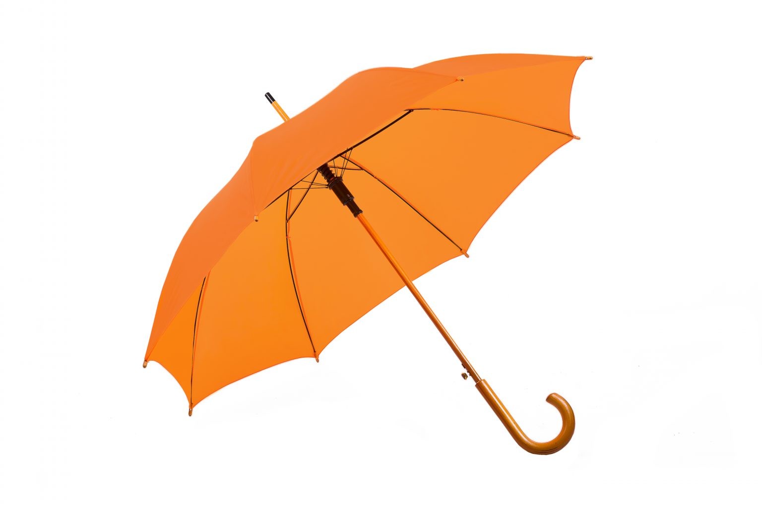 Charlton Hook Handle Umbrella